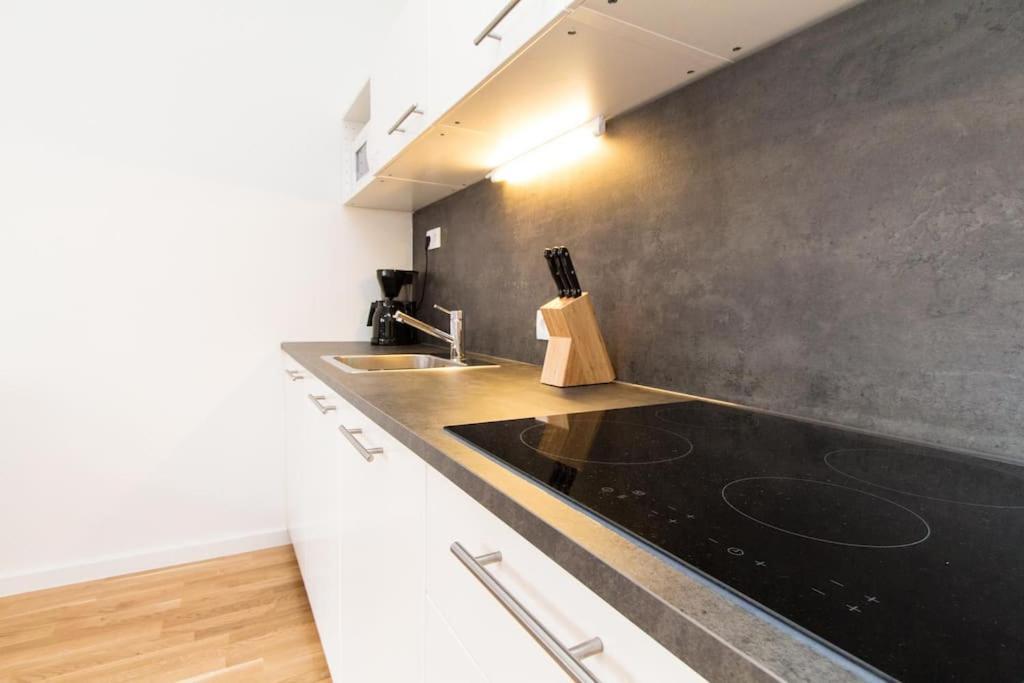 Lainzer Strasse Apartamento Viena